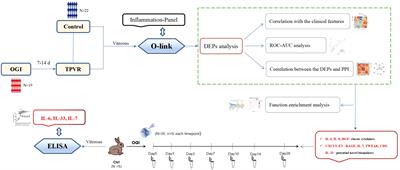 Vitreous Olink proteomics reveals inflammatory biomarkers for diagnosis and prognosis of traumatic proliferative vitreoretinopathy